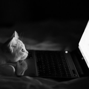 VersaAssistant